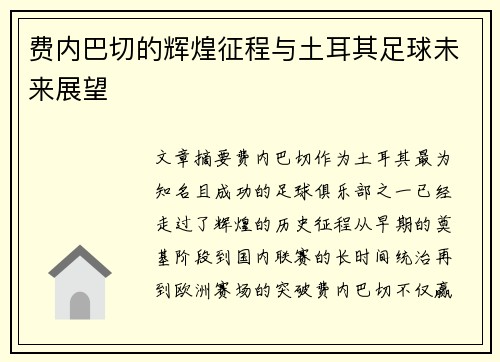 费内巴切的辉煌征程与土耳其足球未来展望 费内巴切的辉煌征程与土耳其足球未来展望
